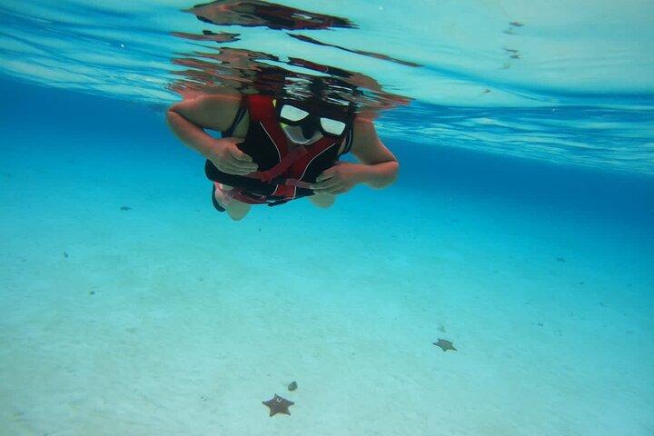 Cozumel Snorkel Nature Experience! From Cancun & Playa Del Carmen