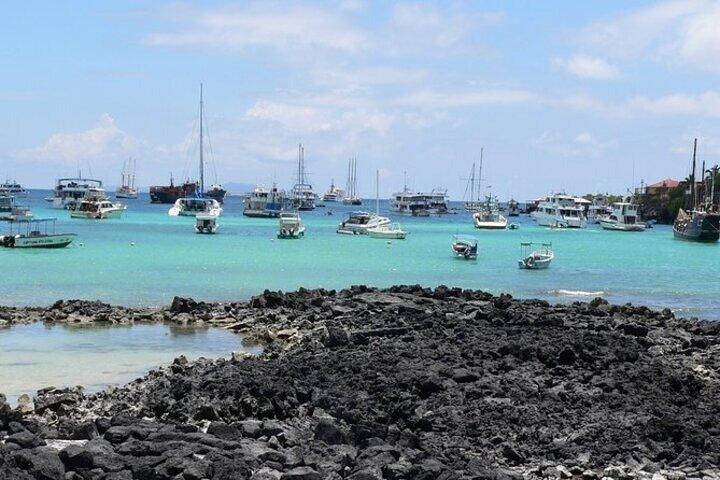 Private Transfer from Baltra Airport to Hotels in Santa Cruz Island