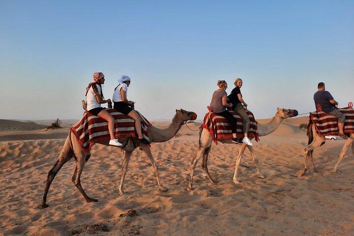 Evening Desert Safari in Dubai with Dune Bashing , Camel Ride and BBQ Dinner