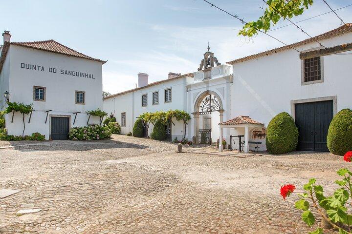 From Lisbon: Family Winery Tour, Historic Cellars & Wine Tasting