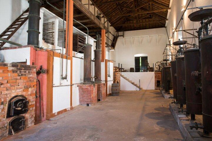 From Lisbon: Family Winery Tour, Historic Cellars & Wine Tasting