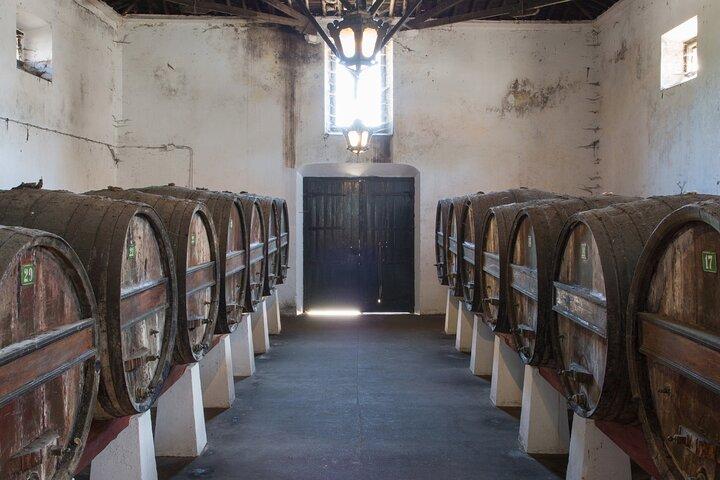 From Lisbon: Family Winery Tour, Historic Cellars & Wine Tasting