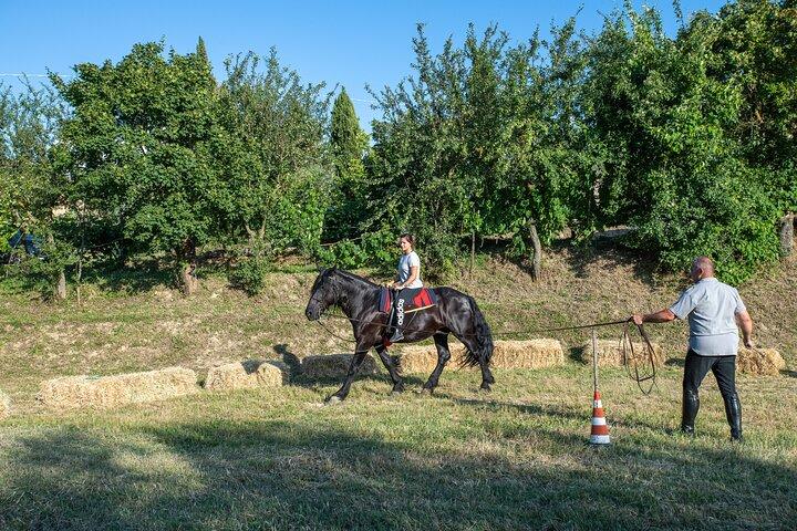 Horseback Riding Tour with Tuscan Picnic in Val d'Orcia and Valdichiana
