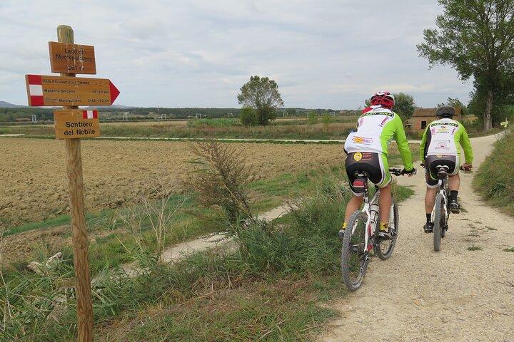 3-Hour Bike Tour and Wine in Tuscany: Nobile's Path