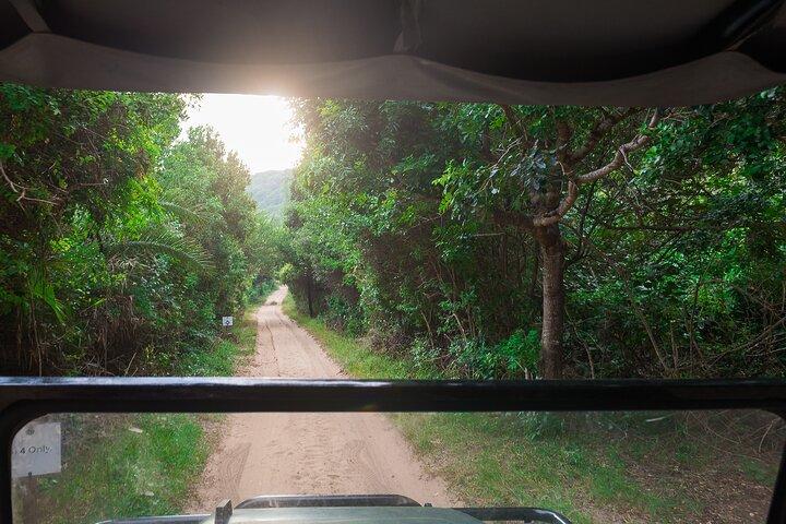 Airport transfers to and from Maputo International Airport