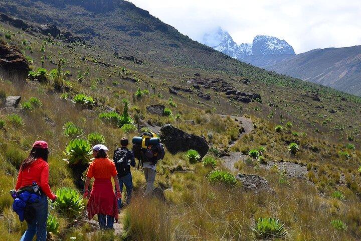 5 Day Mt. Kenya Hike