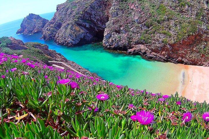 Berlengas Island Catamaran Tour - Round Trip
