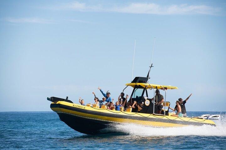 Shark-Dive Tour on Oahu's North Shore