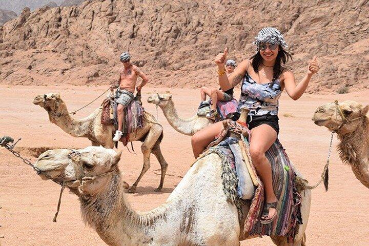 Star Gazing & Bedouin Dinner Trip in Sharm El Sheikh Desert