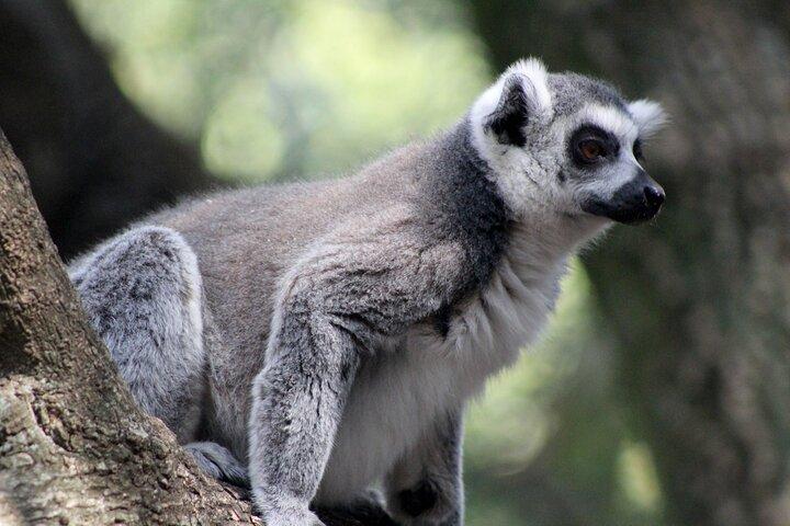 Private Hartbeespoort Dam and Magaliesberg Mountains Tour
