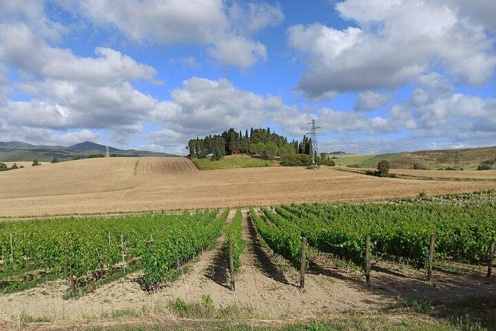 PRIVATE TRANSFER from Florence to Siena with stop in S Gimignano & Monteriggioni