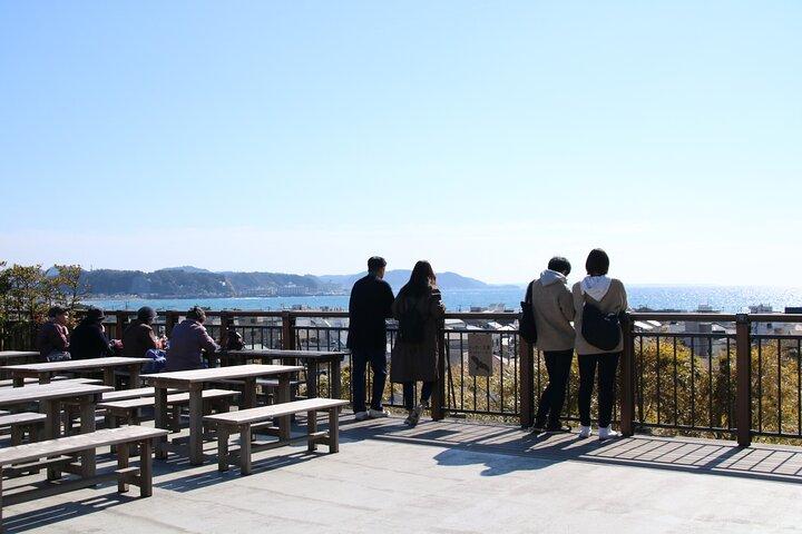 Kamakura Private walking tour (with local experience in option)