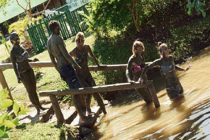 Mud Pools, Gardens, Markets, Temple & Shopping-Nadi Tour half day