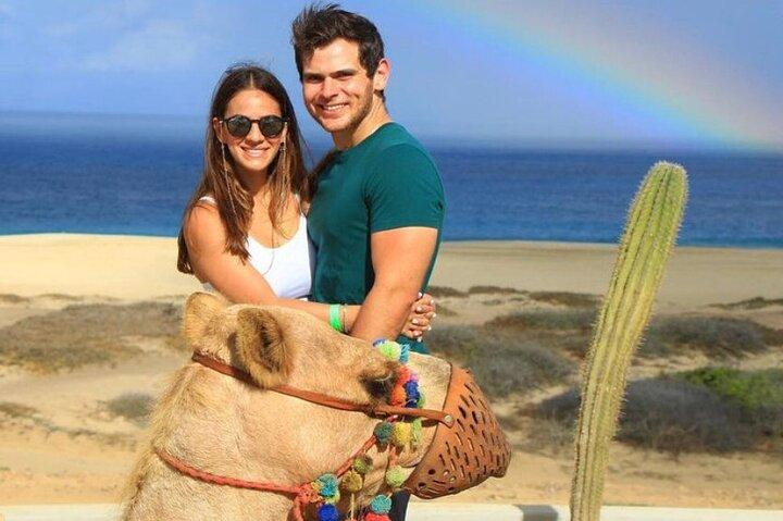 Camel Encounter and Safari Ride with Lunch and Alcohol Tasting