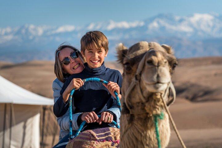 Camel Ride in the Palm Grove of Marrakech