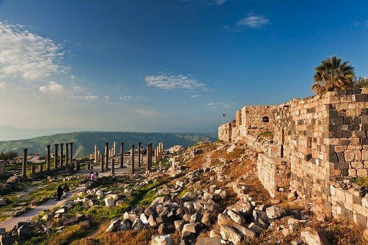 Amman: Private or Group Tour to Jerash, Ajloun & Um Qais