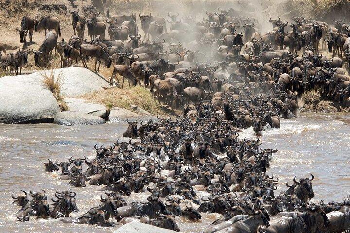 5 Days Tanzania Private Group Safari