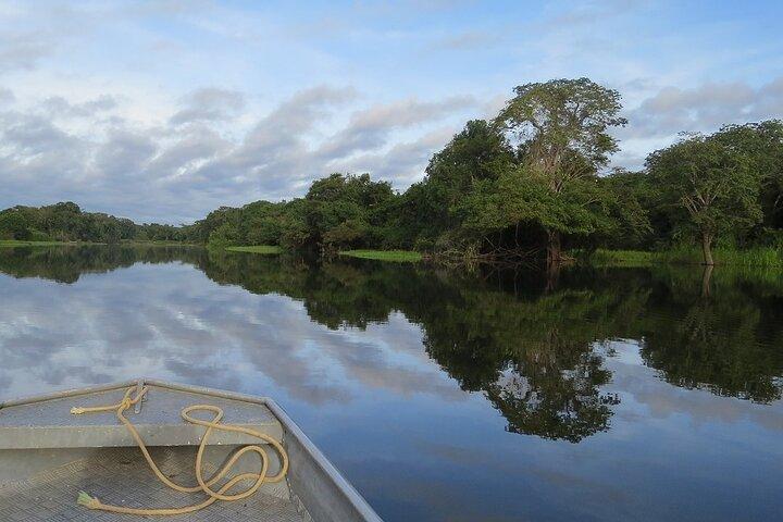 4 Days Tour to Tambopata National Reserve