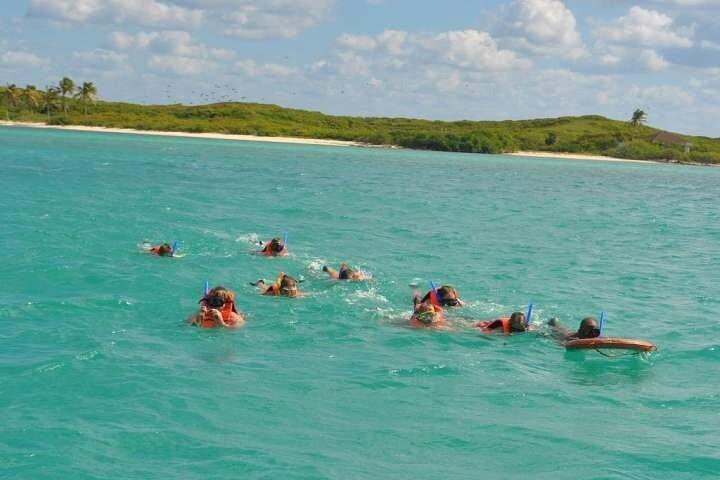 Isla Contoy & Shopping tour in Isla Mujeres from Cancun