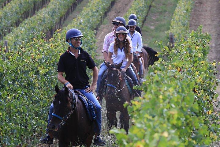 Small Group Horseback Riding Wine Tour, San Gimignano, Lunch