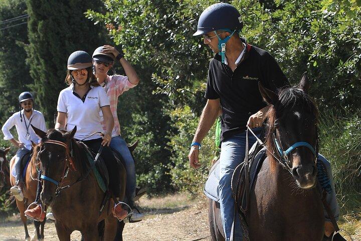 Small Group Horseback Riding Wine Tour, San Gimignano, Lunch