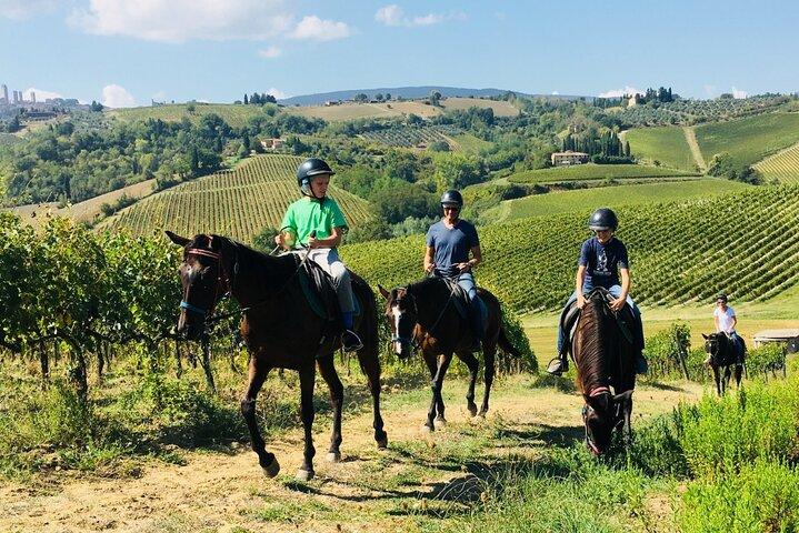 Small Group Horseback Riding Wine Tour, San Gimignano, Lunch