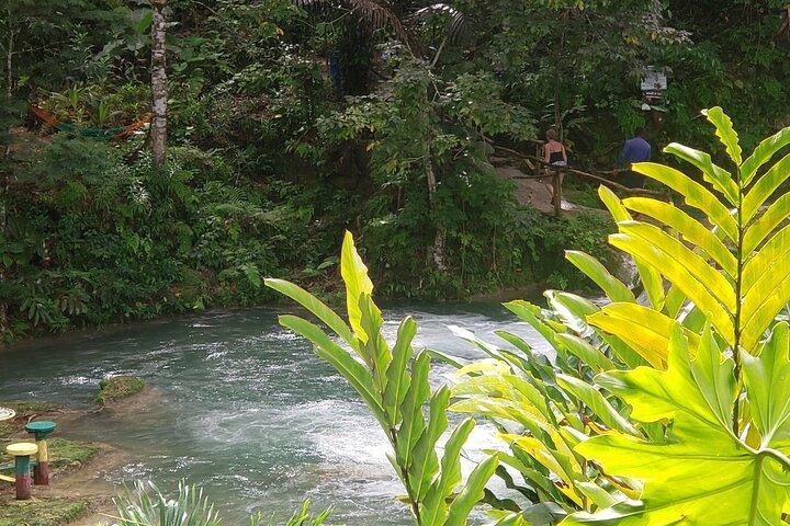 Dunn's River Falls & Blue Hole Tour from Montego Bay