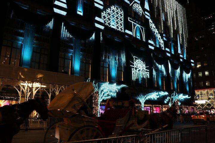 Christmas Light Private Carriage Ride New York City