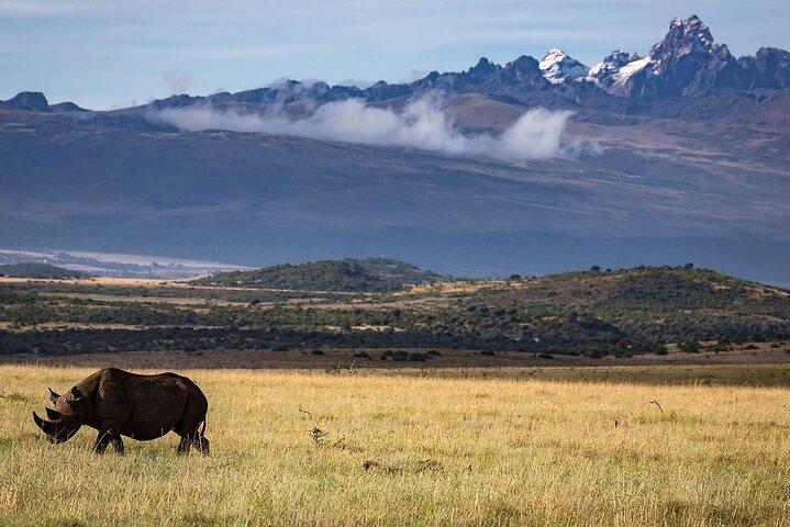 11-Day Ultimate Kenya Luxury Safari