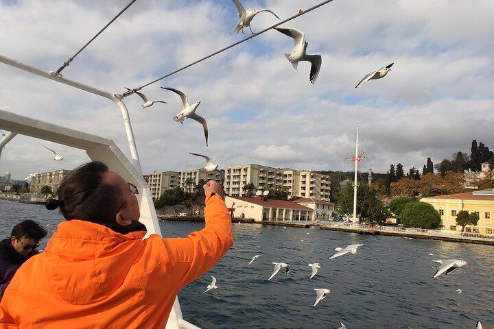 2-Hour Bosphorus Cruise in Istanbul with Guide