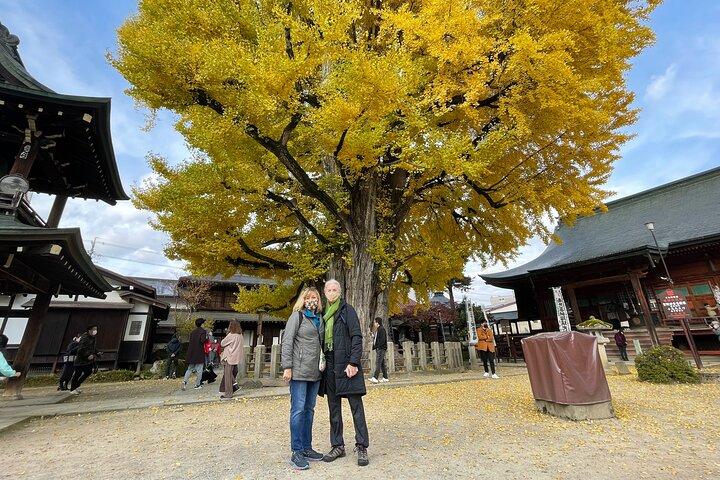 Takayama Local Food & Sake Culture Tour, Licensed Guide