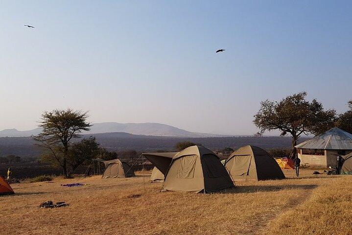 2-Day Manyara and Ngorongoro Crater lodge safari and Game Drive
