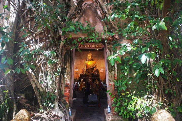 Private Excursion to Maeklong Railway & Amphawa Floating Markets