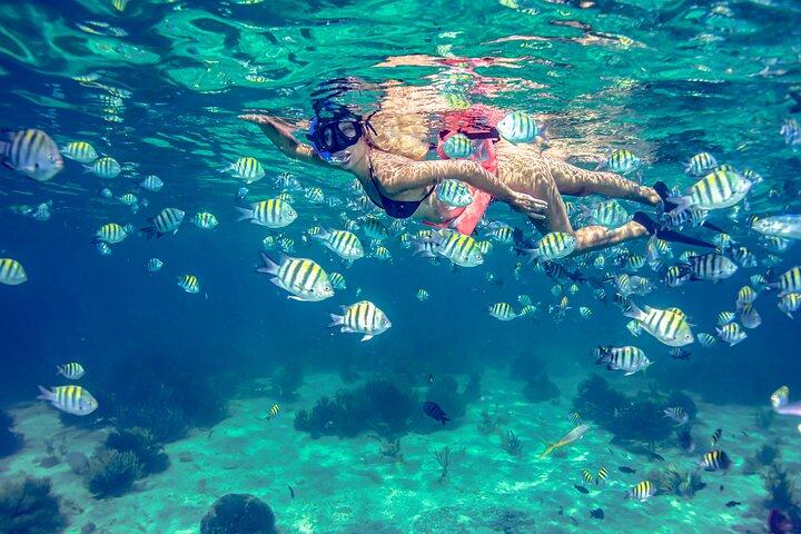 Breathtaking experience driving a speedboat in Cancun with Snorkeling included