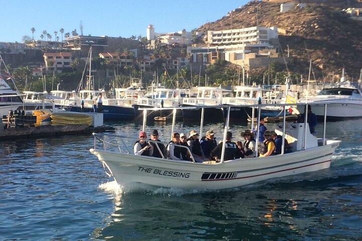 Cabo San Lucas Small-Group Whale Watching Tour: Hear the Whales