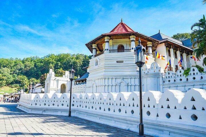Sigiriya To Kandy Private Transport With Sightseeing