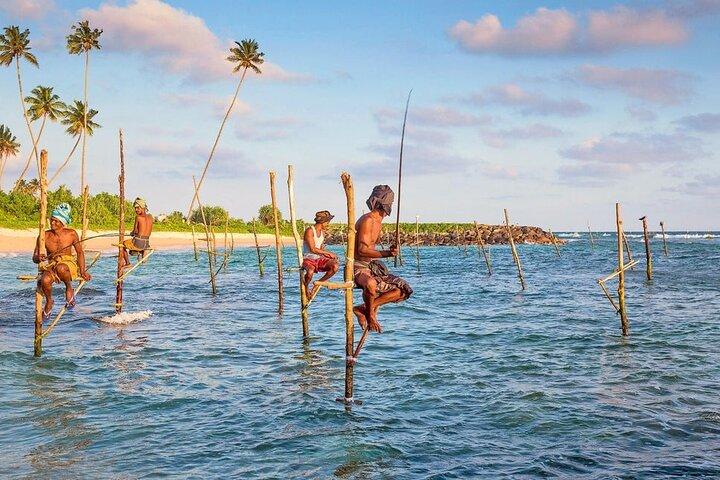 Day Tour Of Gall with Mangrove Safari From Negombo & Colombo
