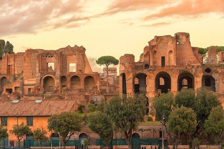 Colosseum Arena Floor Guided Group Tour with Roman Forum and Palatine Hill