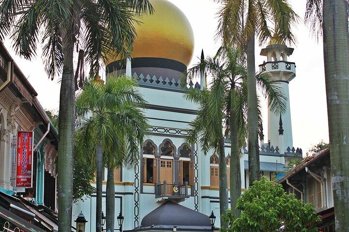 Private Cultural Discovery Tour of Historic Singapore