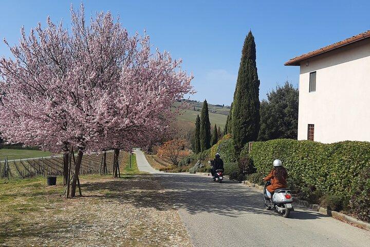 Private Tuscany Vespa Tour