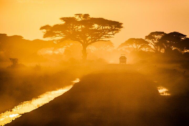 4-Day Private Camping to Tarangire, Serengeti & Ngorongoro