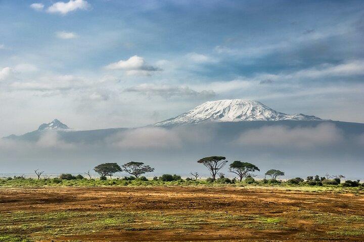 7-Day Kilimanjaro Small-Group Trekking via Machame Route