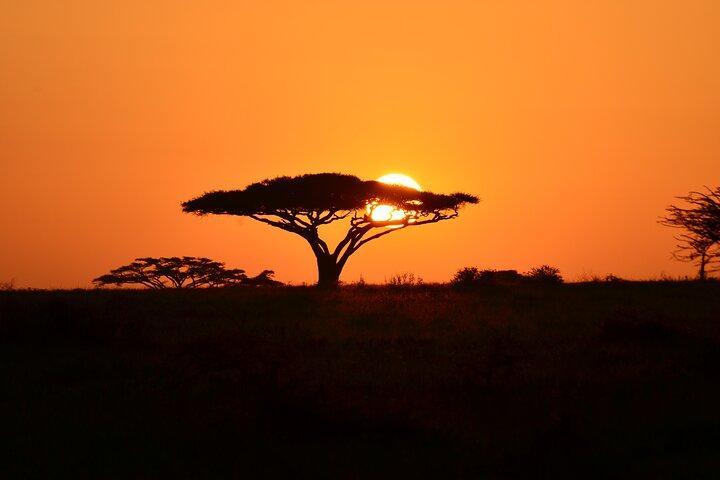 6 days Tanzania budget safari