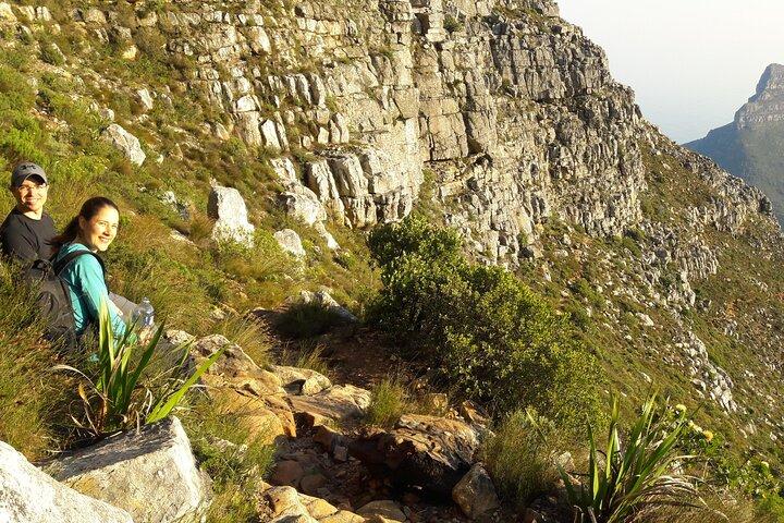 Cape Town: India Venster Half-Day Hike on Table Mountain