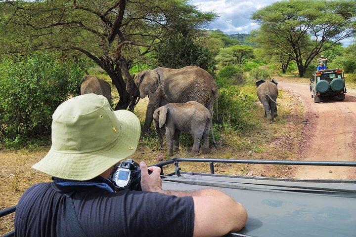 Serengeti & Ngorongoro fly in safari
