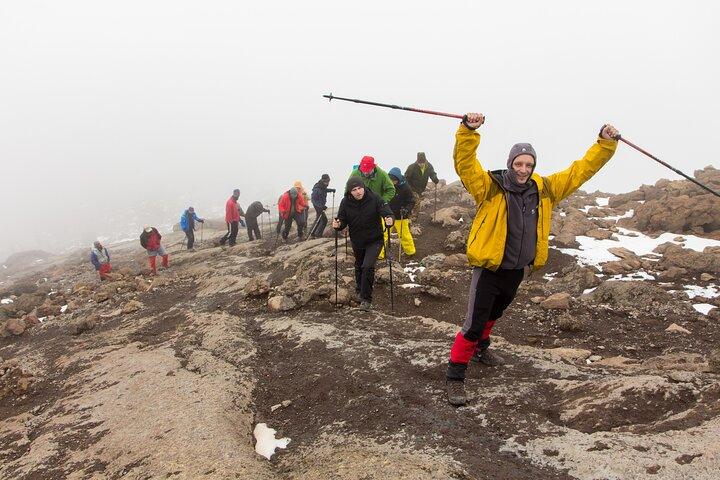 8-Day Private Kilimanjaro Trekking via Lemosho Route from Arusha