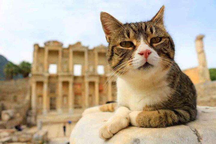 Small Group Ephesus Tour From Izmir