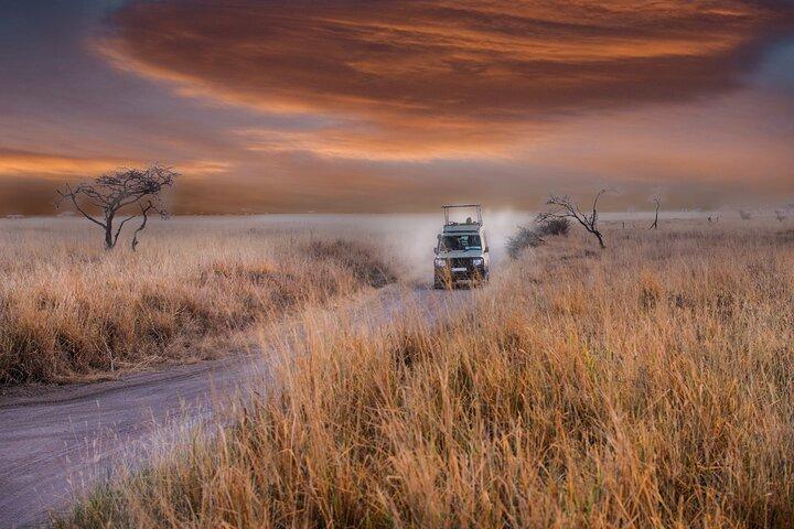 6 days Tanzania budget safari