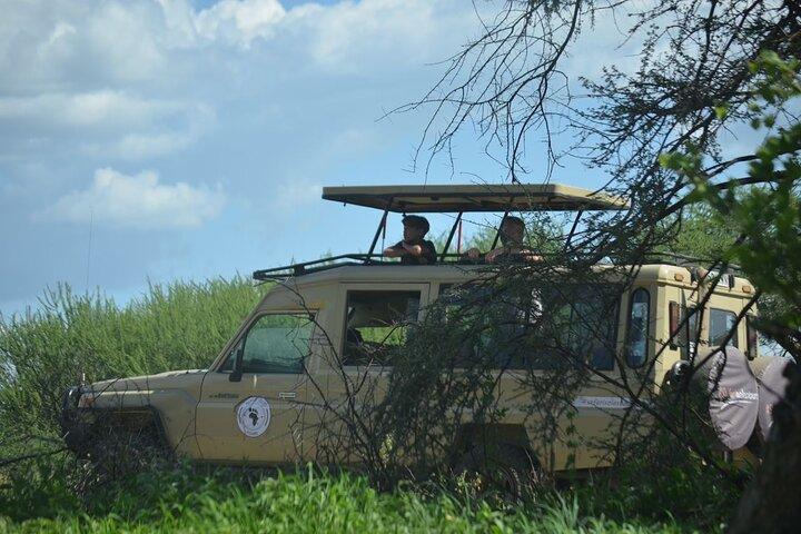 6 days Tanzania budget safari