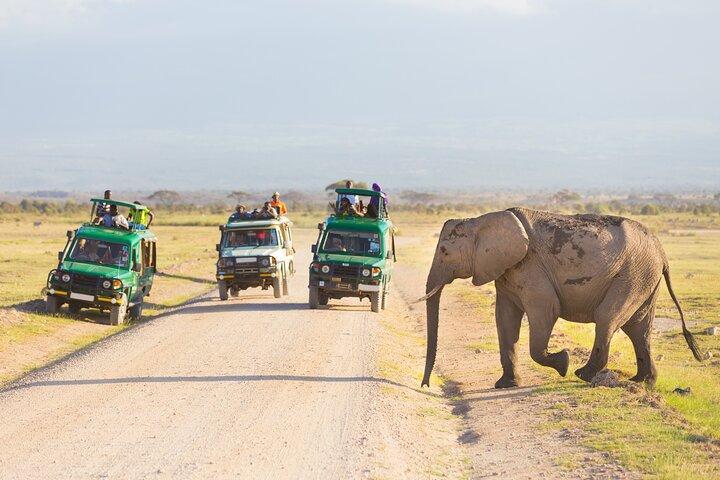 Serengeti & Ngorongoro fly in safari